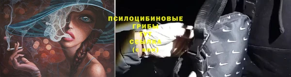 соль курить ск Арсеньев